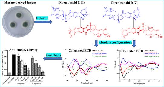 图示AI 生成的内容可能不正确。